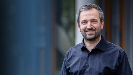 What are the Strategies pursued by Platforms, Buyers and Sellers in the Online Marketplace? Cover