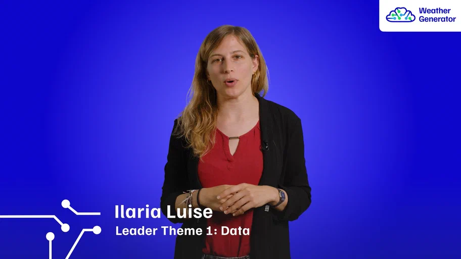 Ilaria Iuise - Collecting the data visual