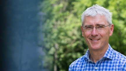 How Does the Presence of FLRT Proteins Influence Cortex Folding? Cover