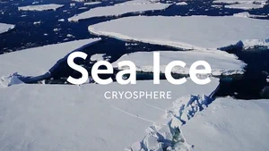 Sea Ice