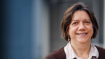 What Happens to Carbon Dioxide in Plant and Soil Systems? Cover