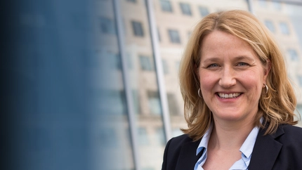 How Do Forest Trees Defend Themselves Against Insects Under Natural Conditions and Is This Process Affected by Forest Management? Cover