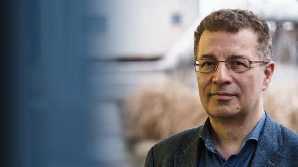 How Can Functional Magnetic Resonance Imaging Help Detect, Visualize, and Treat Strokes? …